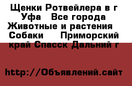 Щенки Ротвейлера в г.Уфа - Все города Животные и растения » Собаки   . Приморский край,Спасск-Дальний г.